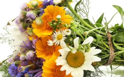 Z okazji Dnia Edukacji Narodowej…