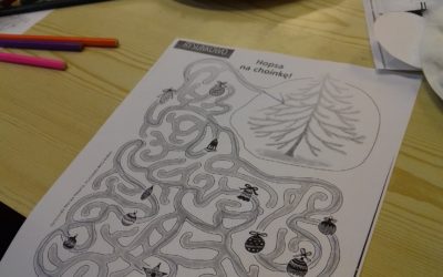 Zakres materiału do realizacji w domu