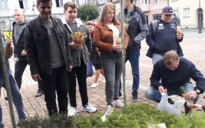 IV edycja akcji „sadziMY”